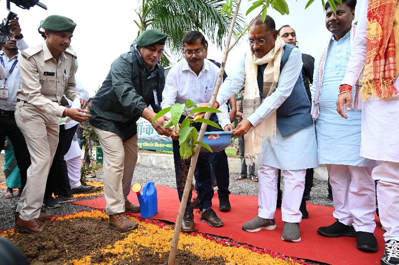 IMG-20240801-WA0176_copy_800x532