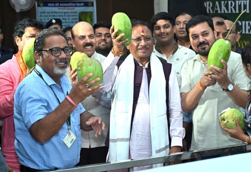 IMG-20250607-WA0185_copy_800x551