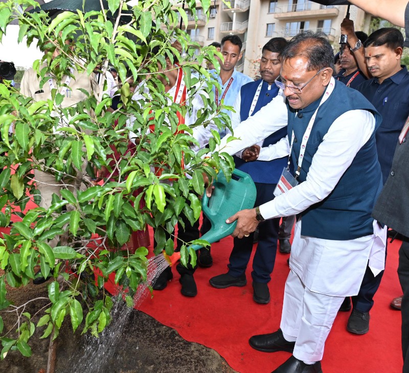 IMG-20250608-WA0150_copy_800x729