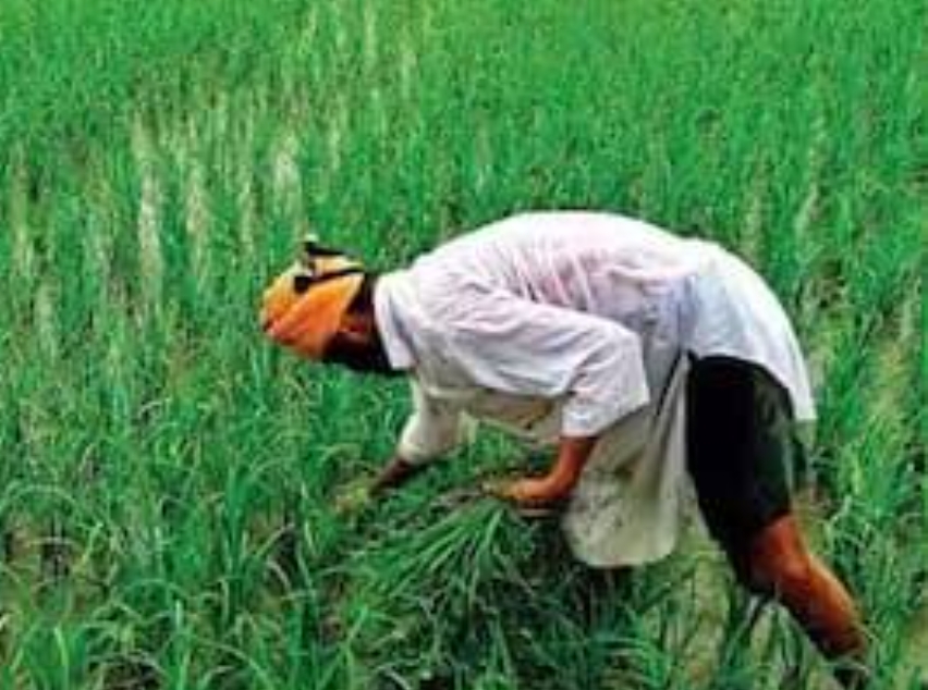 Screenshot_2025-07-23-23-22-47-23_680d03679600f7af0b4c700c6b270fe7