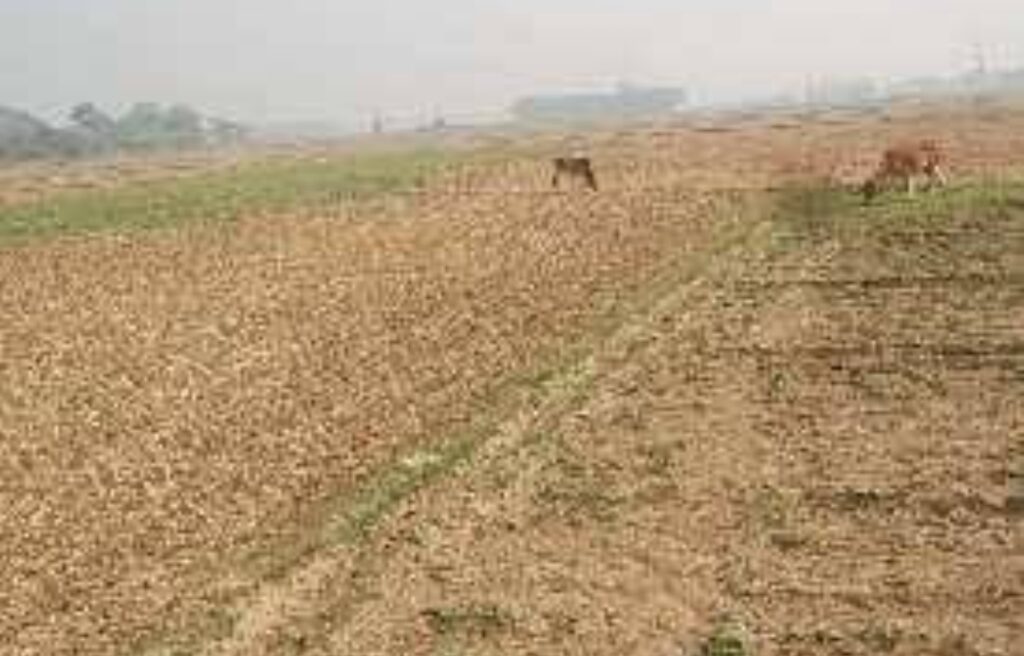 Screenshot_2025-07-31-12-51-15-60_680d03679600f7af0b4c700c6b270fe7