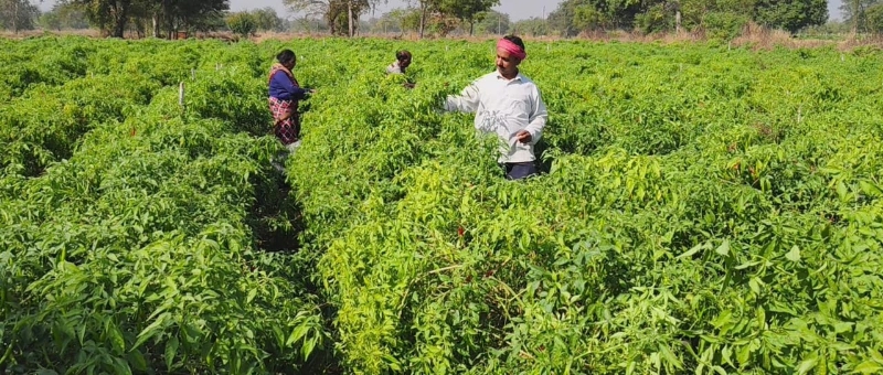 IMG-20251216-WA0041_copy_800x340