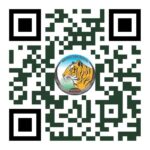 अंतरराष्ट्रीय बाघ दिवस पर होगा ‘रन फॉर इंद्रावती’ मैराथन का आयोजन