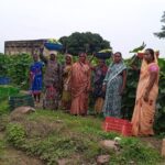 सफलता की कहानी : बिहान से बदली राह 35 महिला किसानों ने 600 क्विंटल सब्जी उगाकर लिखी सफलता की नई कहानी
