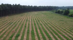 IMG-20260907-WA0192